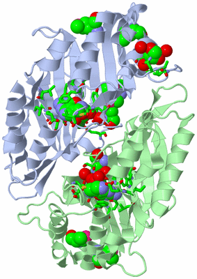 Image Asym./Biol. Unit - sites