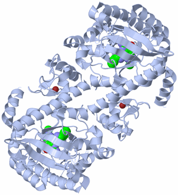 Image Biological Unit 1