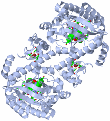 Image Biol. Unit 1 - sites