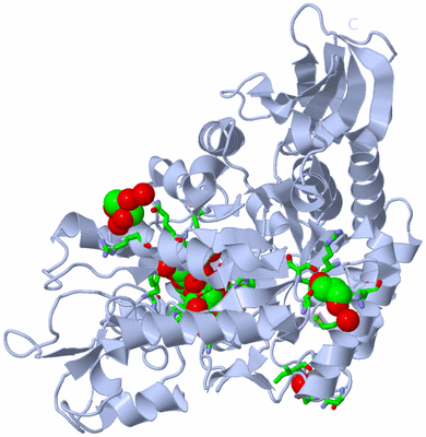 Image Biol. Unit 1 - sites