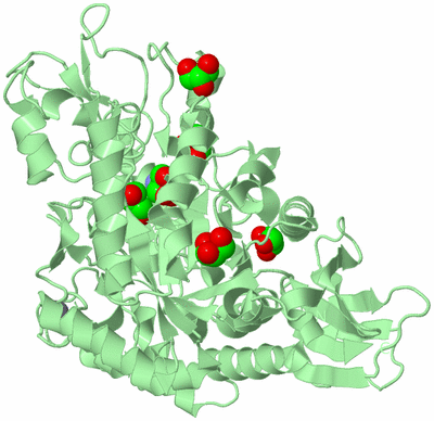 Image Biological Unit 2