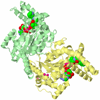 Image Biological Unit 2