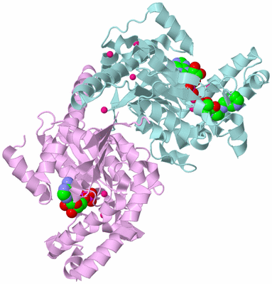 Image Biological Unit 3