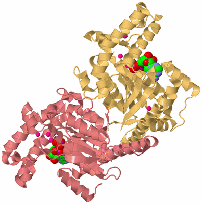 Image Biological Unit 4