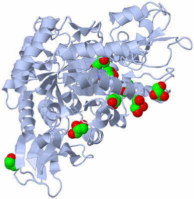 Image Biological Unit 1