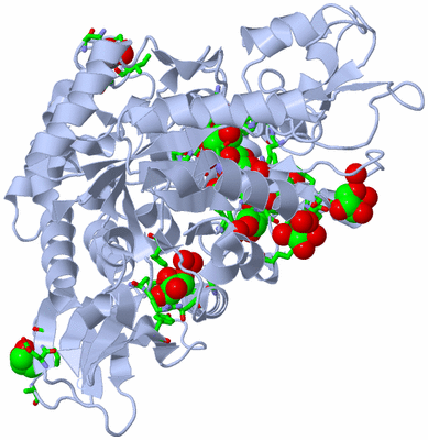 Image Biol. Unit 1 - sites