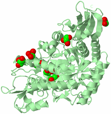 Image Biological Unit 2