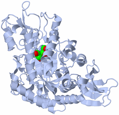 Image Biological Unit 1