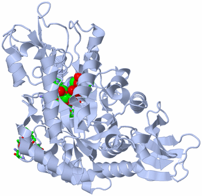 Image Biol. Unit 1 - sites