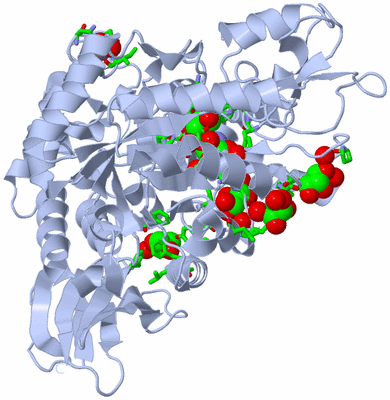 Image Biol. Unit 1 - sites