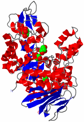 Image Asym./Biol. Unit