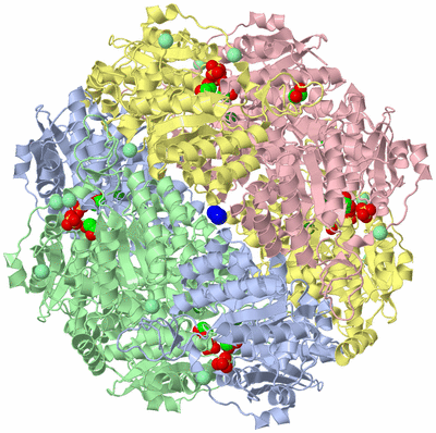 Image Biological Unit 1