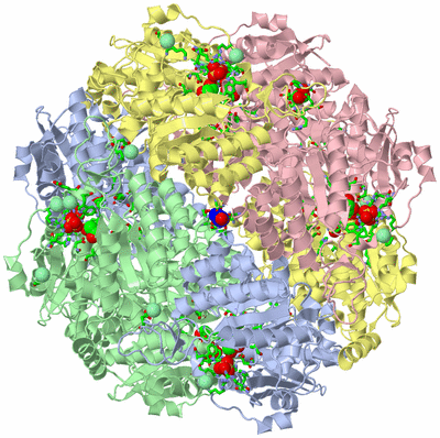 Image Biol. Unit 1 - sites