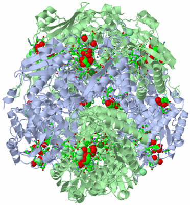 Image Biol. Unit 1 - sites