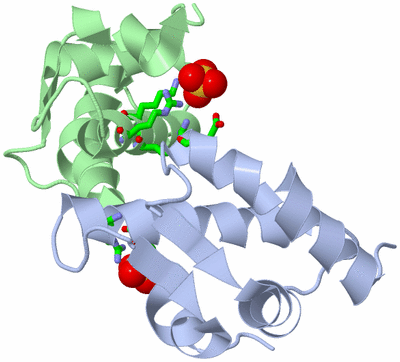 Image Asym./Biol. Unit - sites