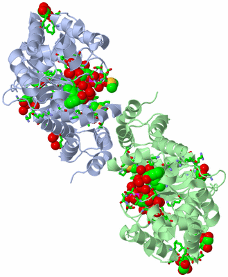 Image Asym./Biol. Unit - sites