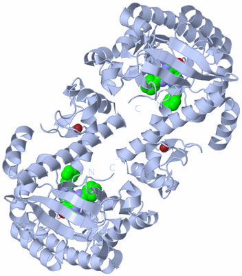 Image Biological Unit 1