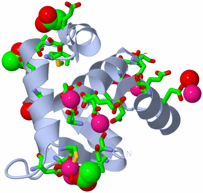 Image Biol. Unit 1 - sites