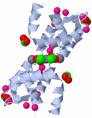 Image Biological Unit 2