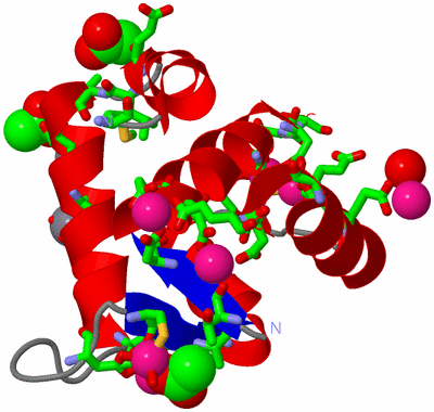 Image Asym. Unit - sites