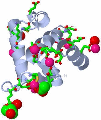 Image Biol. Unit 1 - sites