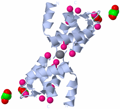 Image Biological Unit 2