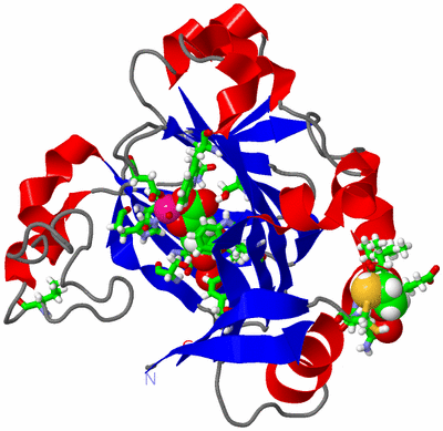 Image Asym./Biol. Unit - sites