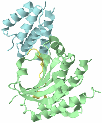 Image Biological Unit 2