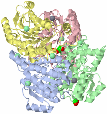 Image Asym./Biol. Unit