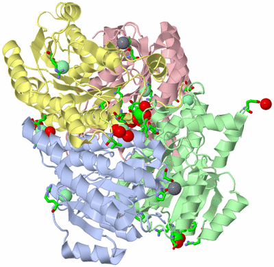 Image Asym./Biol. Unit - sites