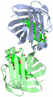 Image Asym. Unit - sites