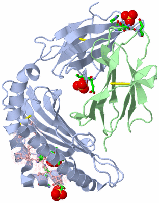 Image Biol. Unit 1 - sites