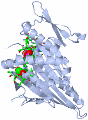 Image Biol. Unit 1 - sites