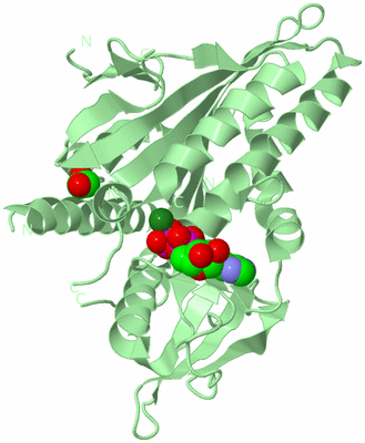 Image Biological Unit 2