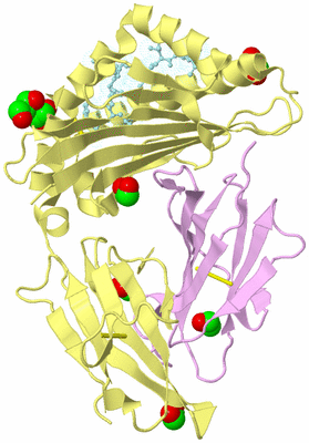 Image Biological Unit 2