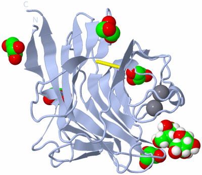 Image Biological Unit 1