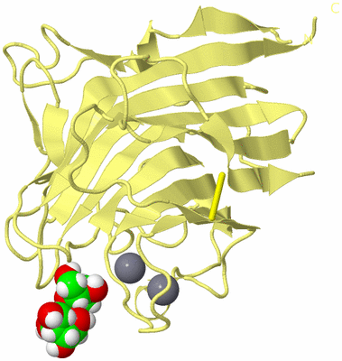 Image Biological Unit 4