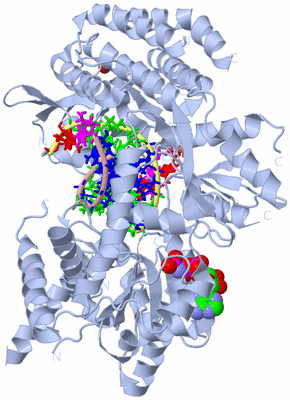 Image Biological Unit 1