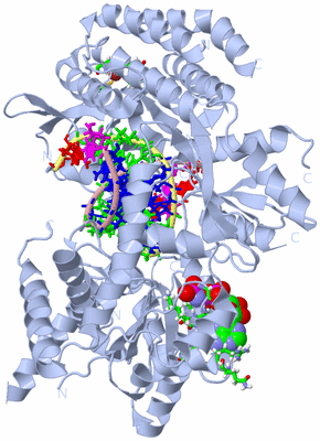 Image Biol. Unit 1 - sites