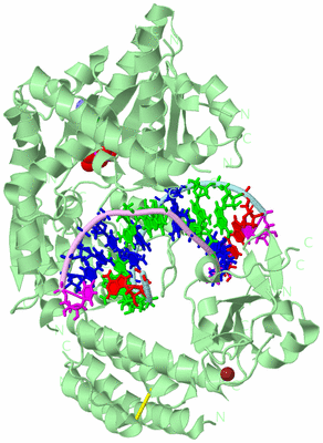 Image Biological Unit 2