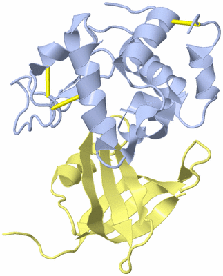 Image Biological Unit 1