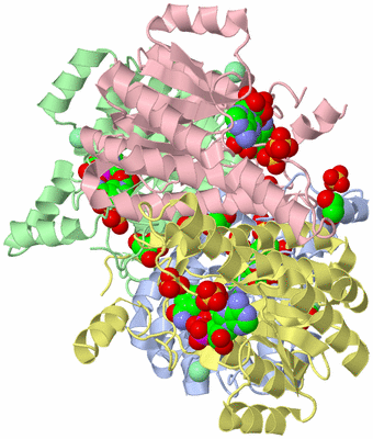 Image Asym./Biol. Unit