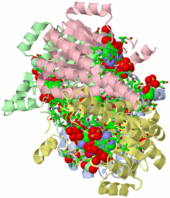 Image Asym./Biol. Unit - sites