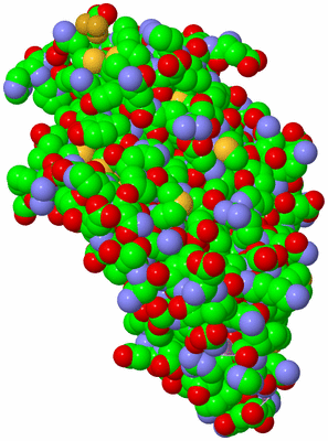 Image Biological Unit 3