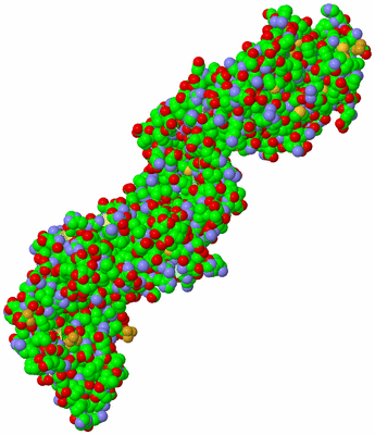 Image Biological Unit 4