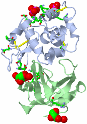 Image Biol. Unit 1 - sites