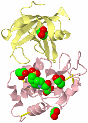 Image Biological Unit 2