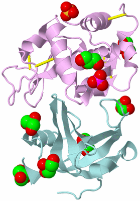 Image Biological Unit 3