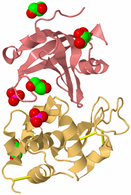 Image Biological Unit 4