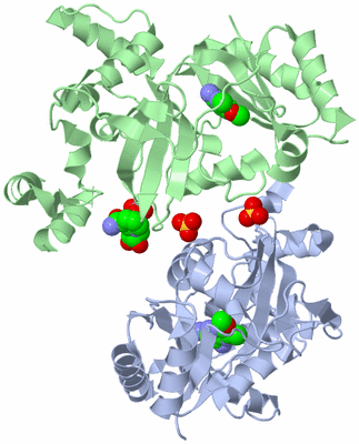 Image Asym./Biol. Unit